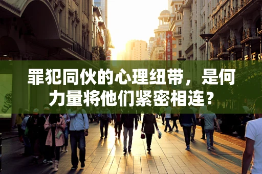 罪犯同伙的心理纽带，是何力量将他们紧密相连？