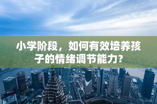 小学阶段，如何有效培养孩子的情绪调节能力？