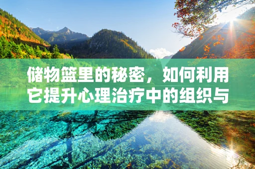 储物篮里的秘密，如何利用它提升心理治疗中的组织与效率？