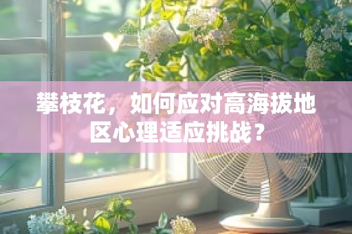 攀枝花，如何应对高海拔地区心理适应挑战？