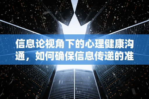 信息论视角下的心理健康沟通，如何确保信息传递的准确与高效？