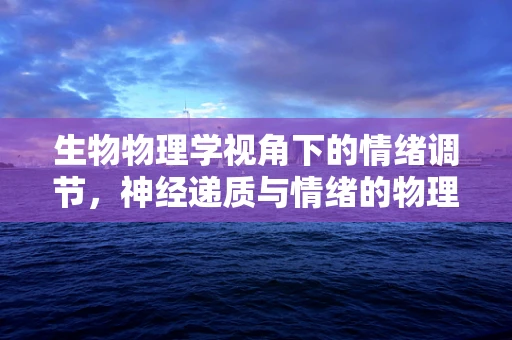 生物物理学视角下的情绪调节，神经递质与情绪的物理对话