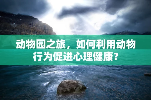 动物园之旅，如何利用动物行为促进心理健康？